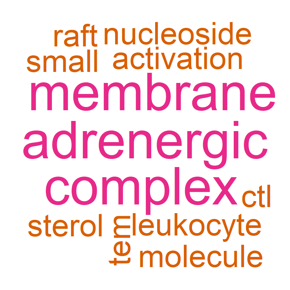 Wordcloud for B_14_34