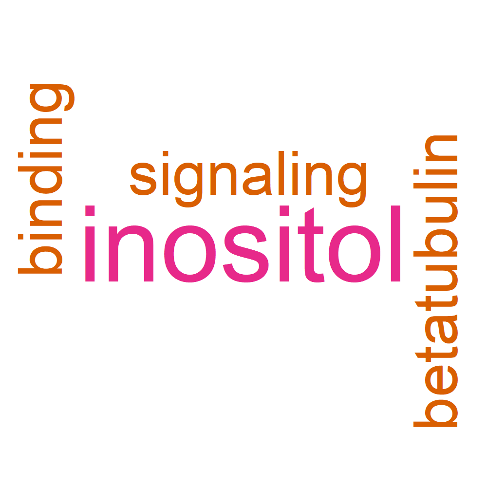 Wordcloud for B_14_39