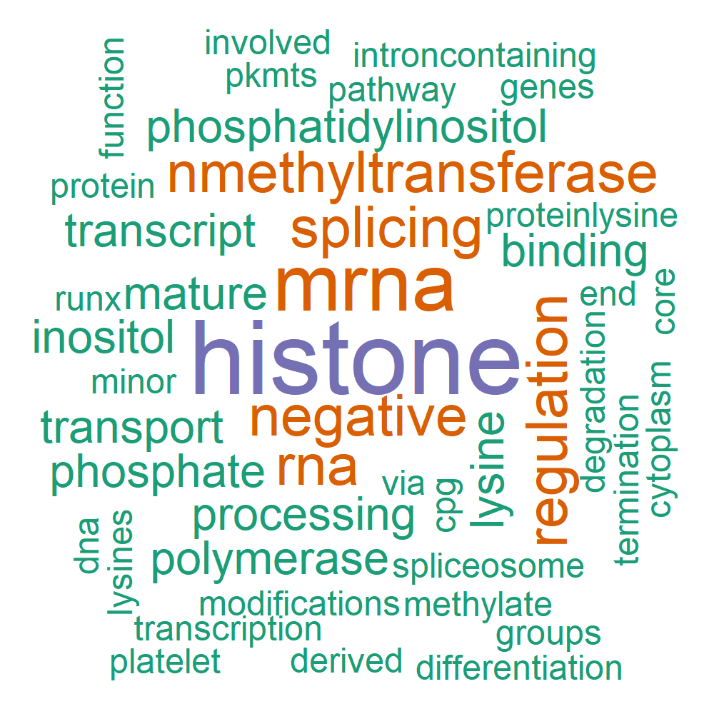 Wordcloud for B_14_44