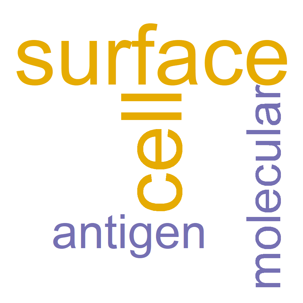 Wordcloud for B_14_45