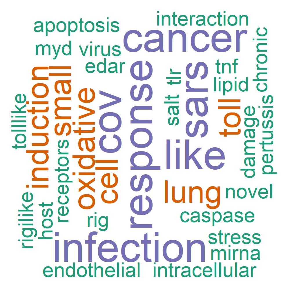 Wordcloud for B_14_6