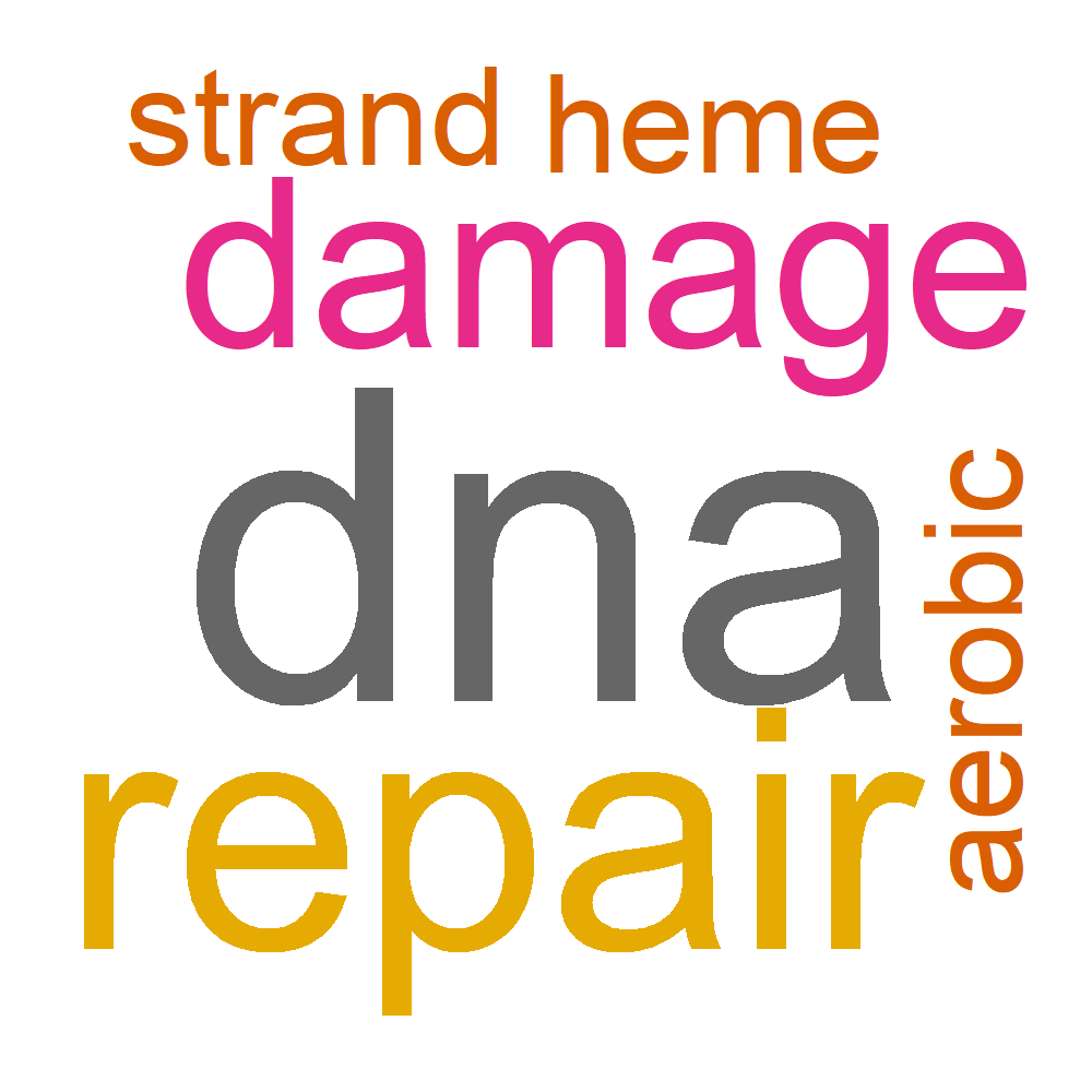 Wordcloud for B_14_7