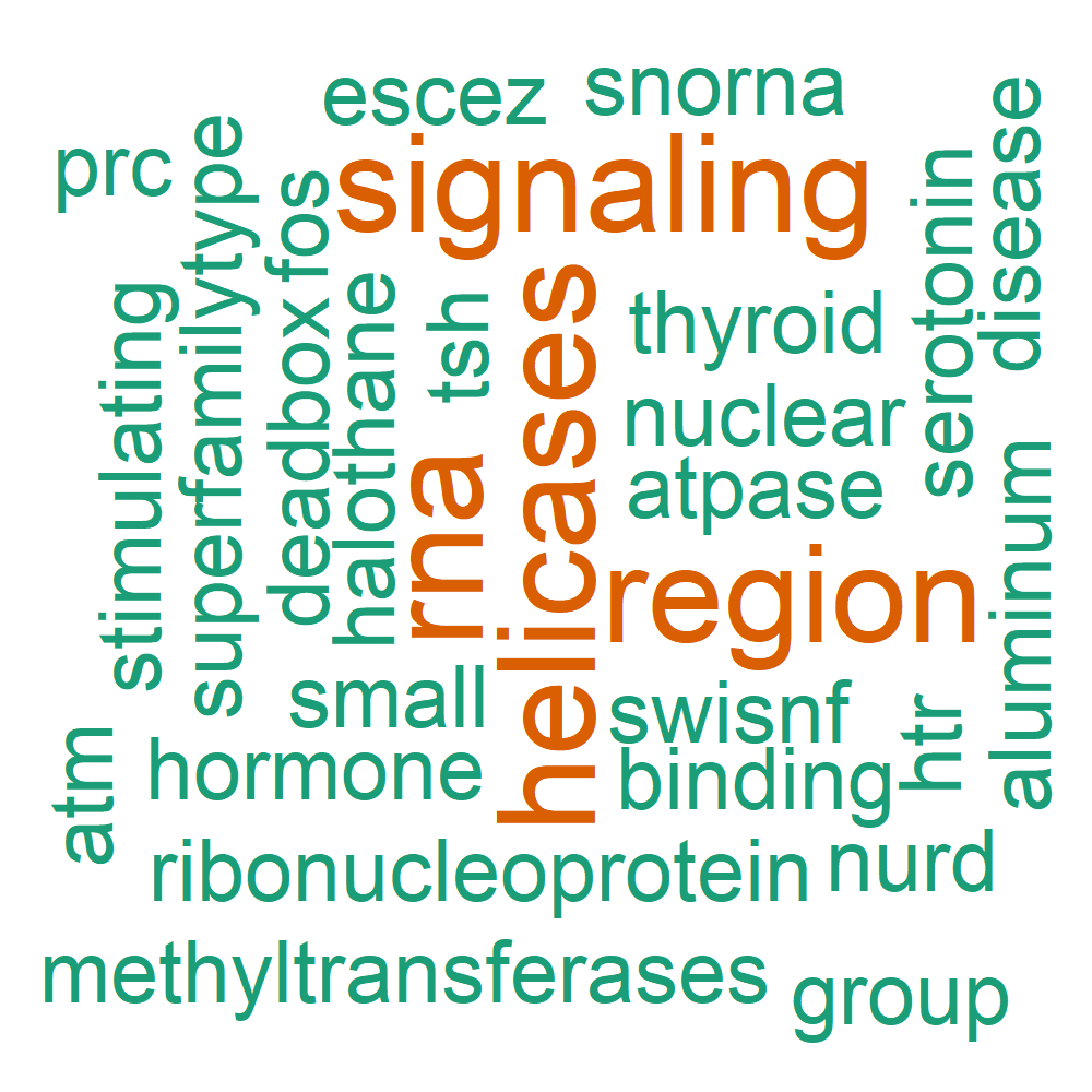 Wordcloud for B_14_9